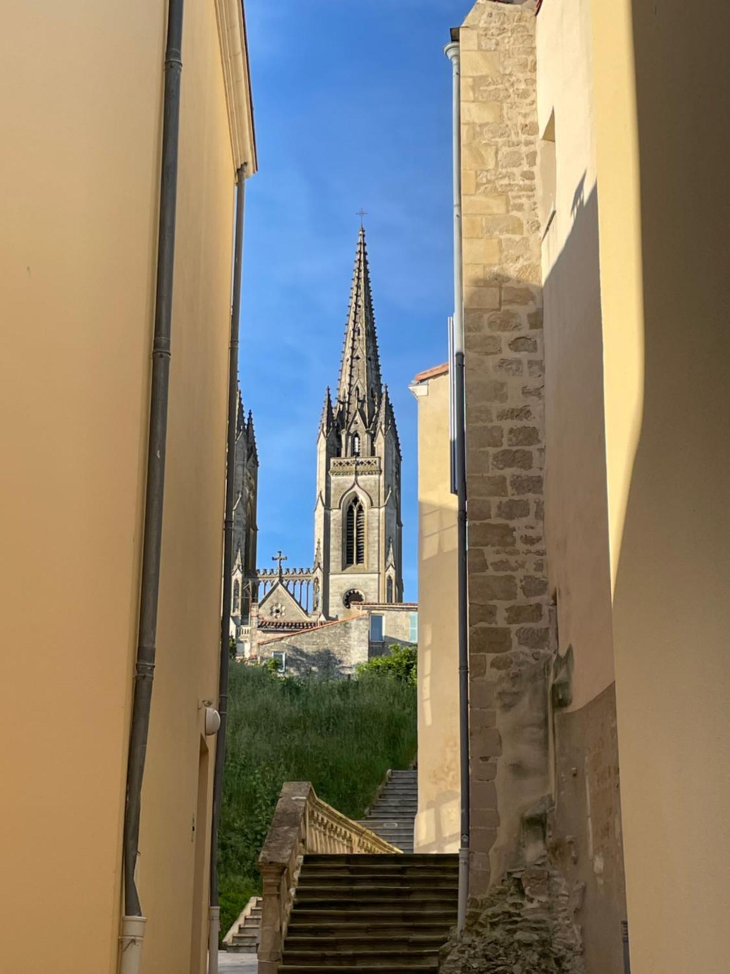 尼奥尔Chez Jean-Yves Et Zoe - Le Saint Andre - Au Calme, Tres Propre, Proche Parkings, Clim公寓 外观 照片